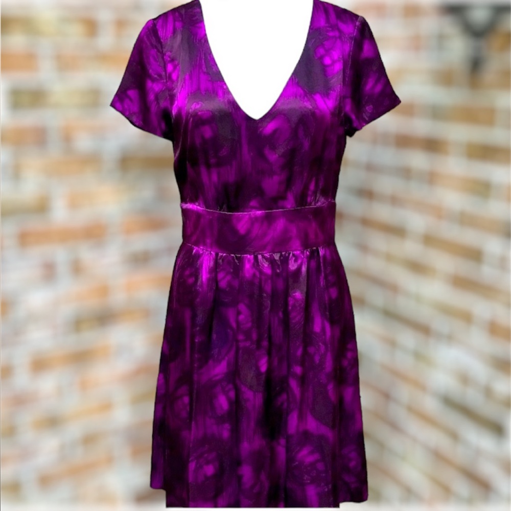 Purple / black silk dress.